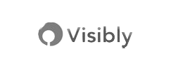 visibly logo